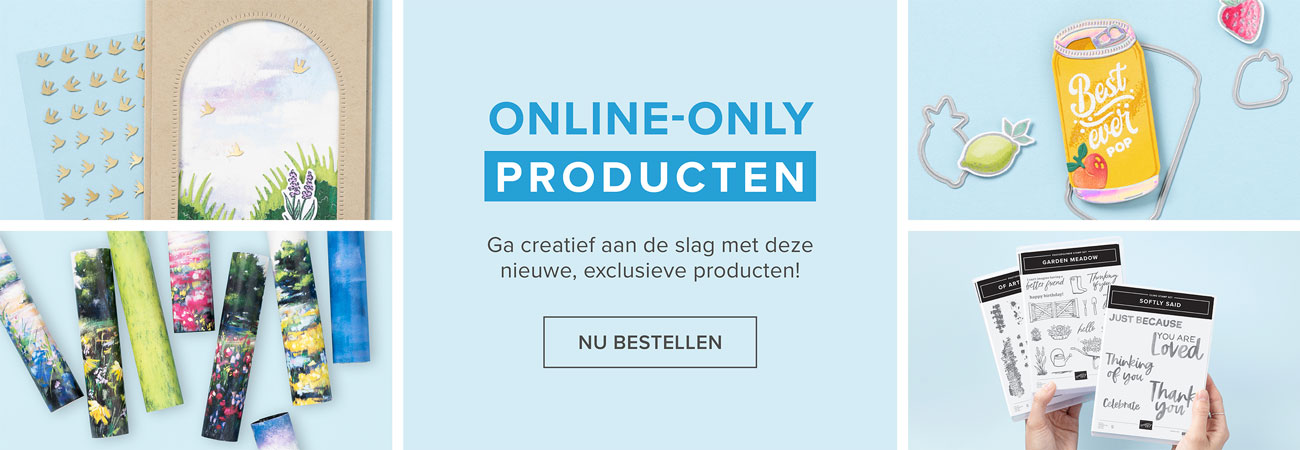 Dbws hmpg wnew nl 1123 online exclusives